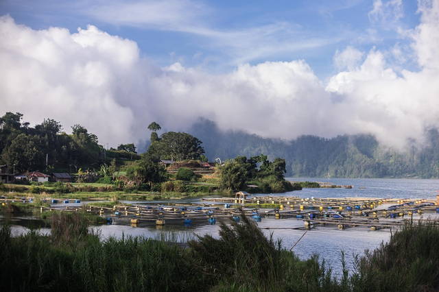 pemuteran bali indonesia