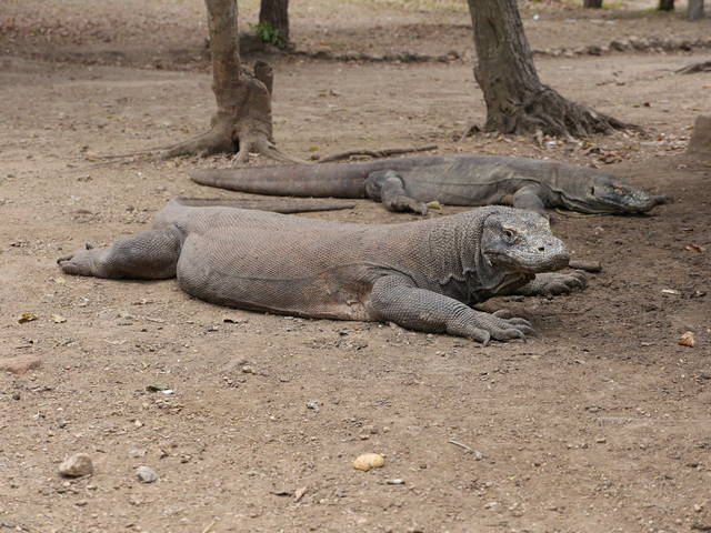 bali park