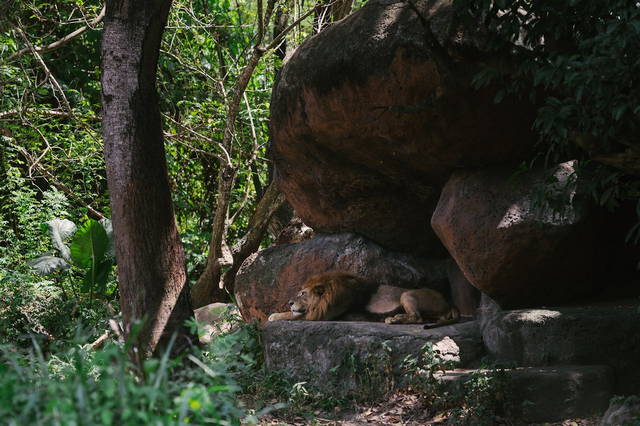 zoo bali