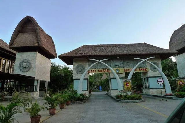 Bali safari and marine park