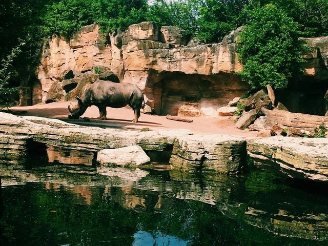 zoo ragunan jakarta