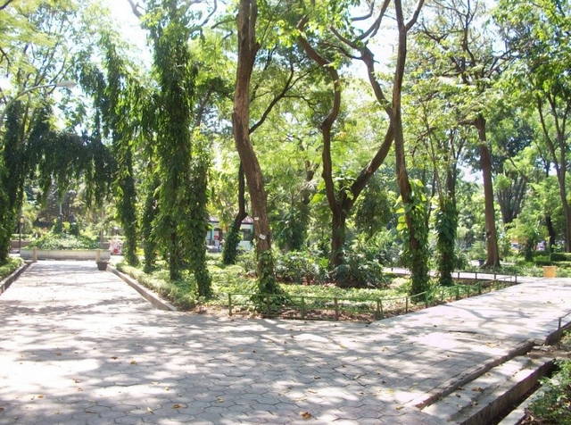 taman flora bratang surabaya