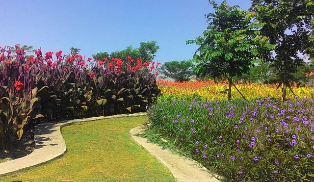 harmony park