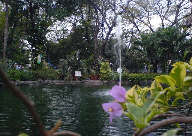 kebun bibit wonorejo surabaya