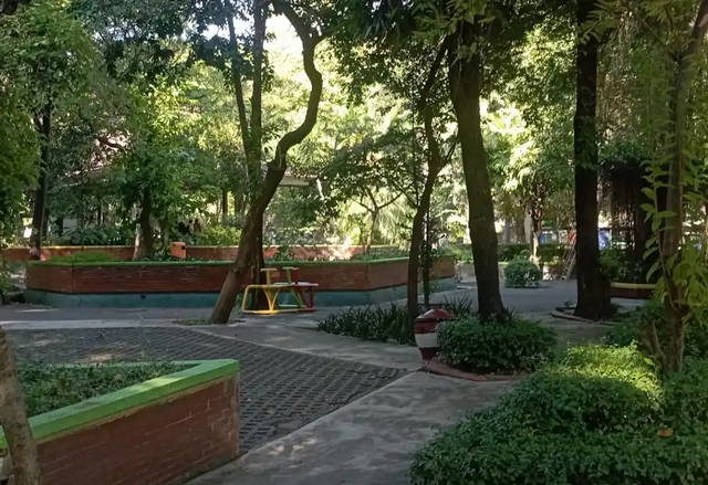Kebun Bibit Wonorejo Surabaya
