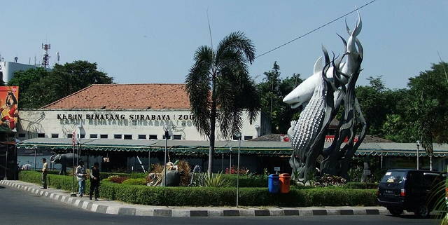 kebun binatang surabaya surabaya zoo